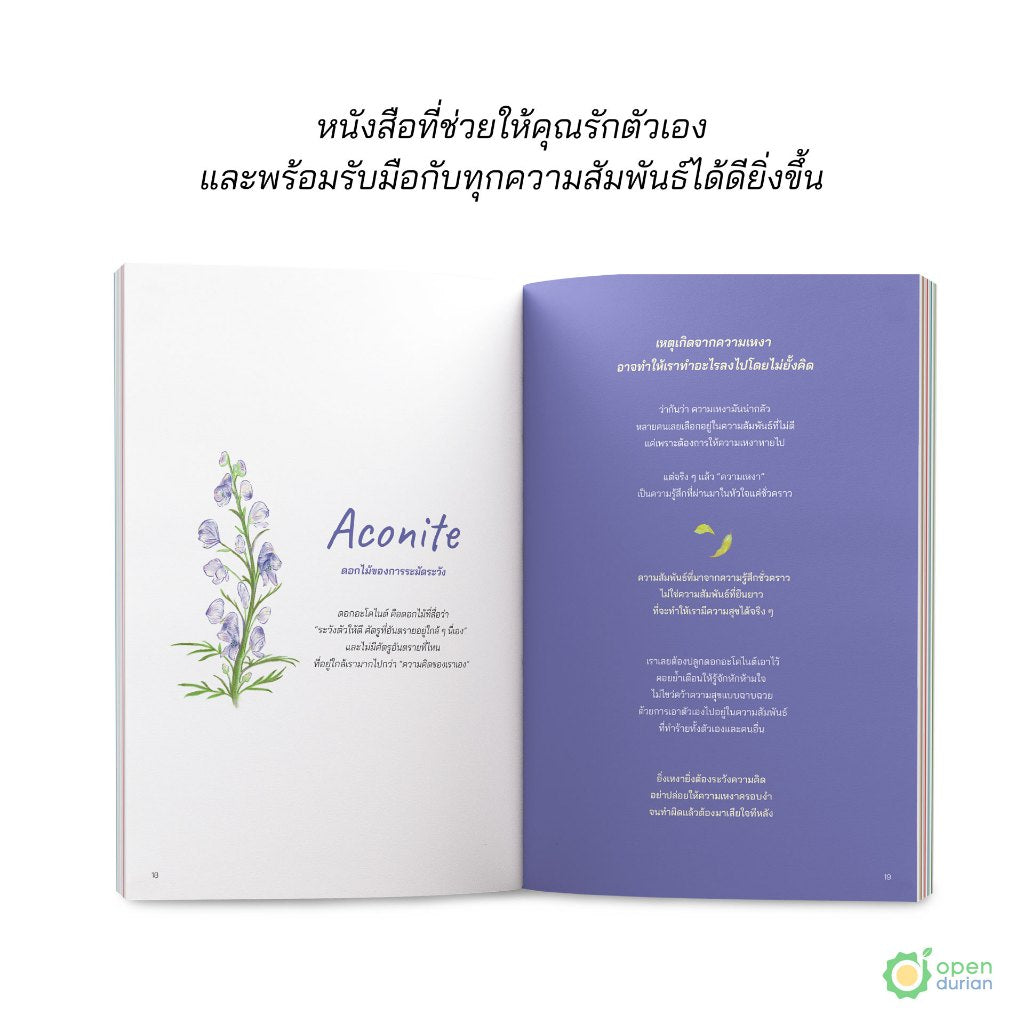 หนังสือวันไหนที่ใจแข็งแรง ดอกไม้จะผลิบาน (The Enchanted Garden)