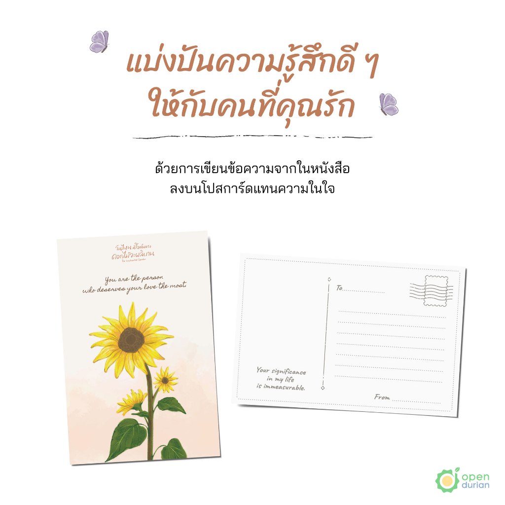 หนังสือวันไหนที่ใจแข็งแรง ดอกไม้จะผลิบาน (The Enchanted Garden)